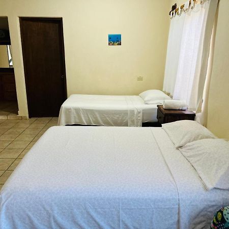 Bungalow Cirujano Apartment Cabo Pulmo Bagian luar foto