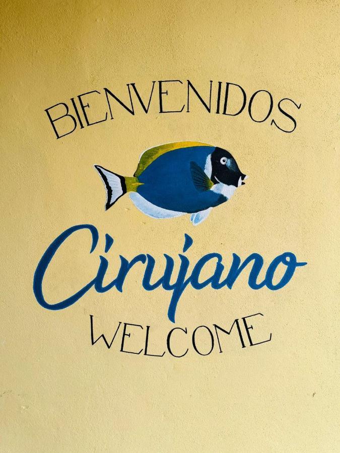 Bungalow Cirujano Apartment Cabo Pulmo Bagian luar foto
